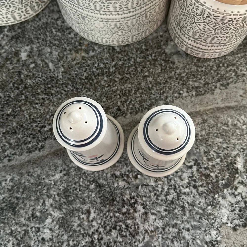 Pfaltzgraff Windsong salt & pepper shaker set